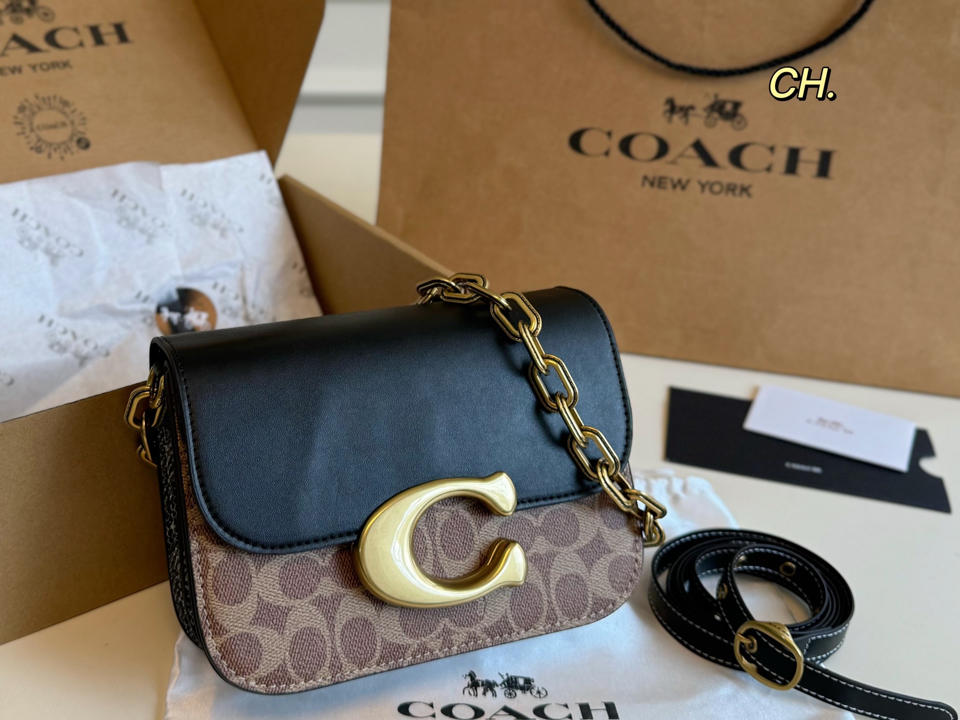 coach bag 240